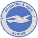 Brighton & Hove Albion F.C logo embroidery design embroidery design
