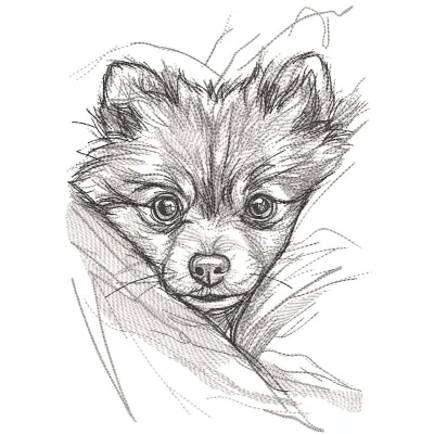 Pomeranian from behind the bosom embroidery design