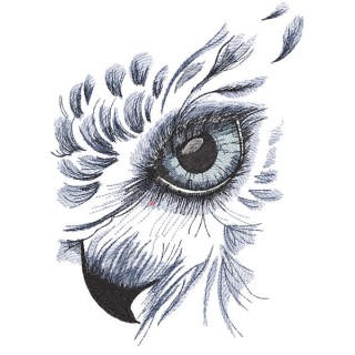 Eagle sketch head embroidery design - Embroidery Design