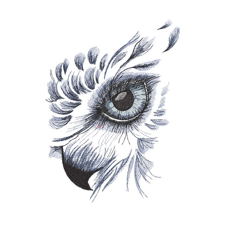 Eagle sketch head embroidery design - Embroidery Design