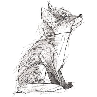 Fox greyscale sketch embroidery design - Embroidery Design