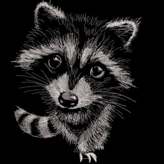 Raccoon at night embroidery design - Embroidery Design