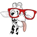 Embroidery design of a giraffe with glasses playfully showing its tongue, showcasing unique animal artistry.