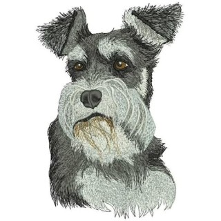 Standard Schnauzer Dog embroidery design - Embroidery Design