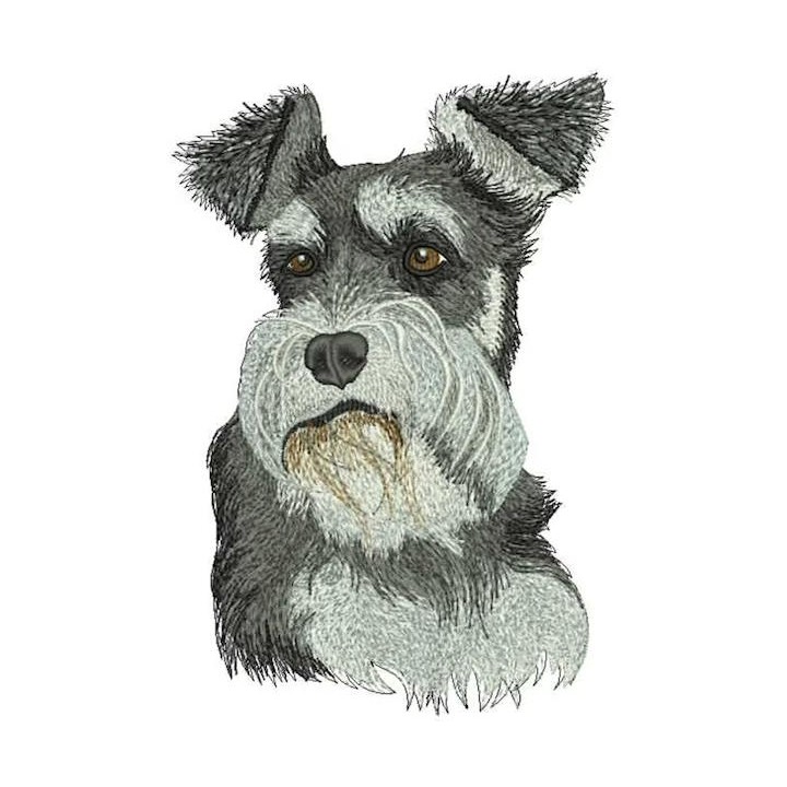 Standard Schnauzer Dog embroidery design - Embroidery Design