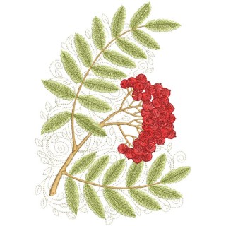 Ripe mountain ash embroidery design - Embroidery Design