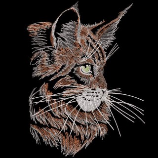 Maine Coon cat sketch embroidery design - Embroidery Design