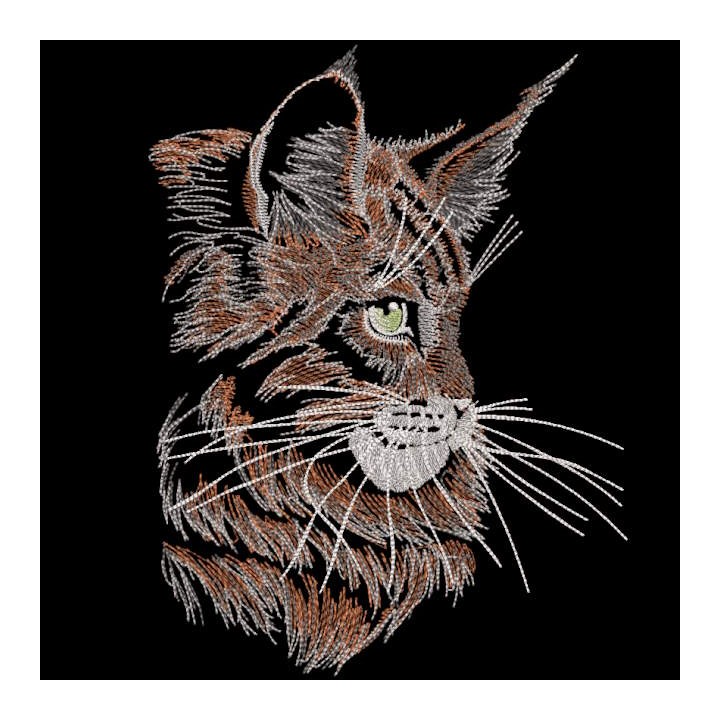 Maine Coon cat sketch embroidery design - Embroidery Design