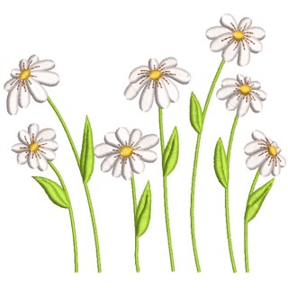 Daisies field embroidery design - Embroidery Design