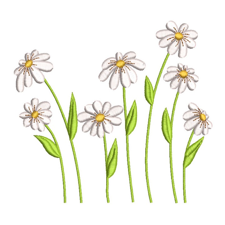 Daisies field embroidery design - Embroidery Design