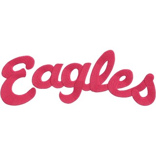 Eastern Washington Eagles Wordmark Logo embroidery design - Embroidery Design