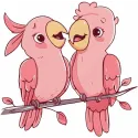 Two pink parrots embroidery design preview showcasing vibrant colors and detailed stitching.