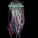 Rainbow jellyfish embroidery design preview showcasing vibrant colors and detailed stitching for nautical projects.