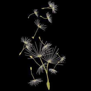Dandelion seeds blown embroidery design - Embroidery Design