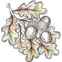 Acorns fall colors embroidery design preview showcasing autumn hues and intricate details.