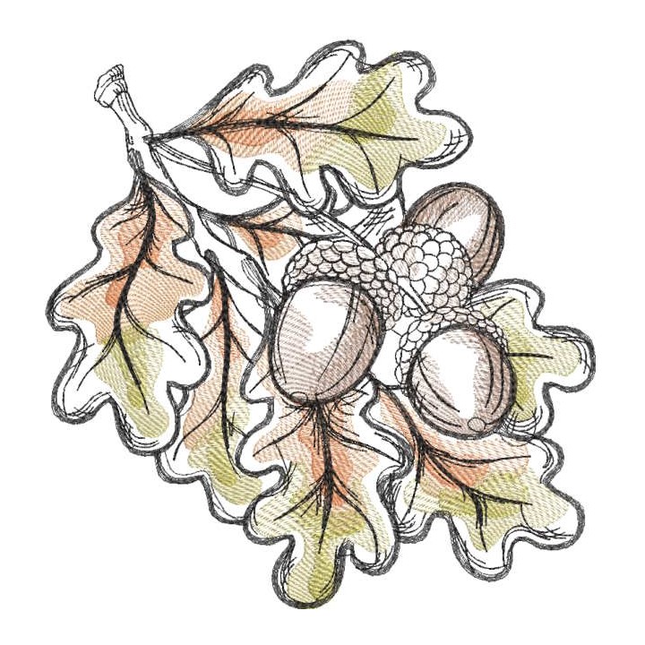 Acorns fall colors embroidery design - Embroidery Design
