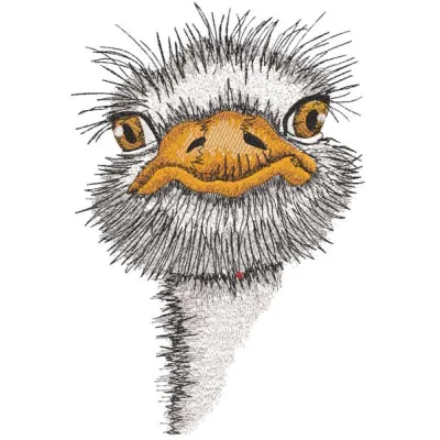 Baby Ostrich embroidery design preview showcasing vibrant colors and detailed stitching. Filename hint: baby ostrich embroid…