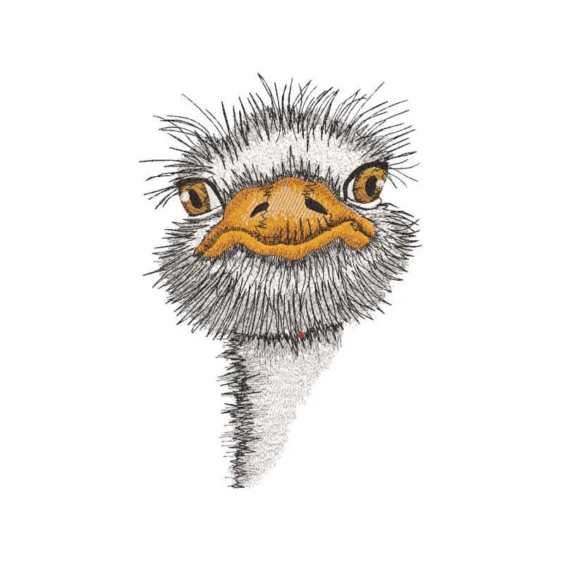 Baby Ostrich embroidery design preview showcasing vibrant colors and detailed stitching. Filename hint: baby ostrich embroid…