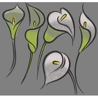Calla Zantedeschia flowers embroidery design - Embroidery Design