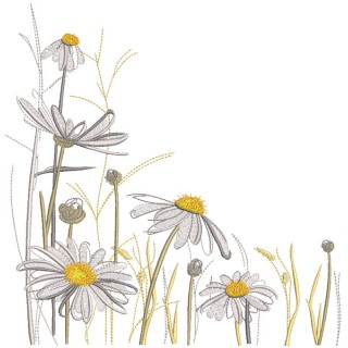 Chamomile meadow embroidery design - Embroidery Design