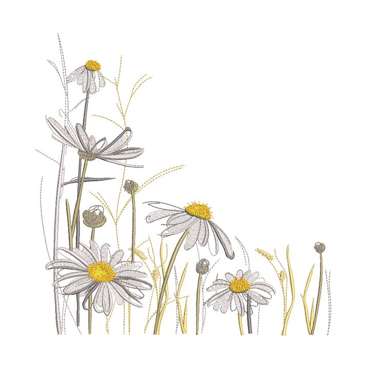 Chamomile meadow embroidery design - Embroidery Design