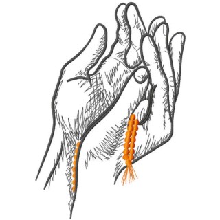 Praying hands embroidery design - Embroidery Design