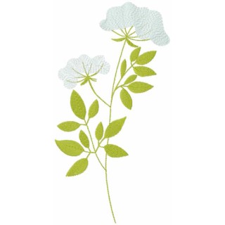 Phlox paniculata embroidery design - Embroidery Design