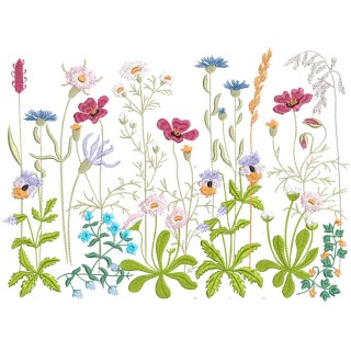 Forbs of the summer meadow embroidery design - Embroidery Design