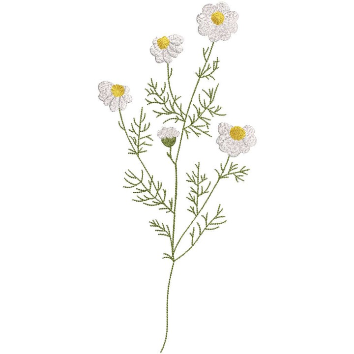 Spring field daisies embroidery design - Embroidery Design