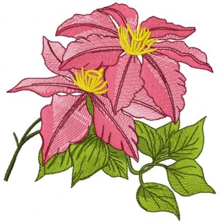 Red Clematis minister embroidery design - Embroidery Design