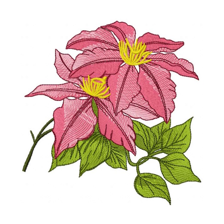 Red Clematis minister embroidery design - Embroidery Design