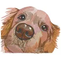 Golden retriever muzzle embroidery design preview showcasing detailed stitching and vibrant colors.