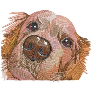 Golden retriever muzzle embroidery design - Embroidery Design
