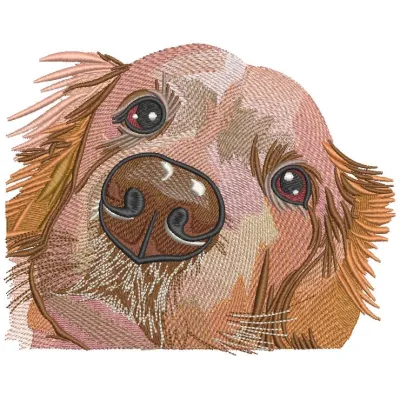 Golden retriever muzzle embroidery design preview showcasing detailed stitching and vibrant colors.