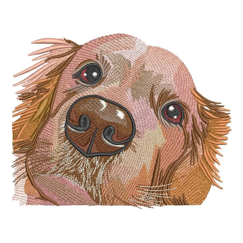 Golden retriever muzzle embroidery design preview showcasing detailed stitching and vibrant colors.