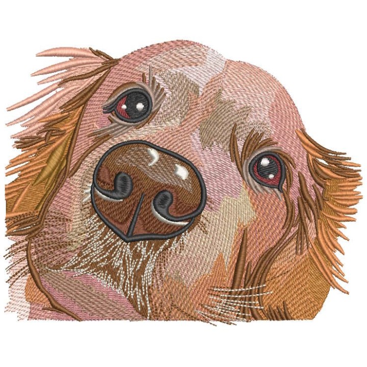 Golden retriever muzzle embroidery design - Embroidery Design