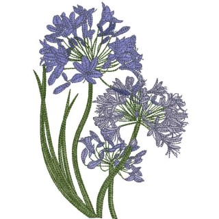 Centaurea cyanus field treasure embroidery design - Embroidery Design