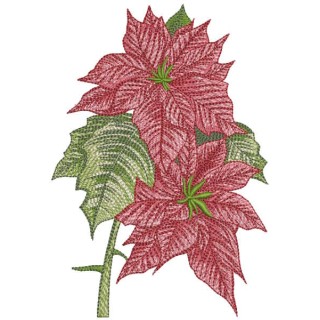 Poinsettia flower embroidery design - Embroidery Design