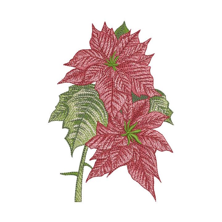 Poinsettia flower embroidery design - Embroidery Design
