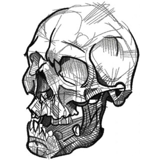 Greascale sketching scull embroidery design - Embroidery Design