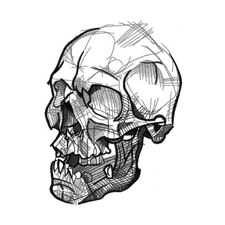 Greascale sketching scull embroidery design - Embroidery Design
