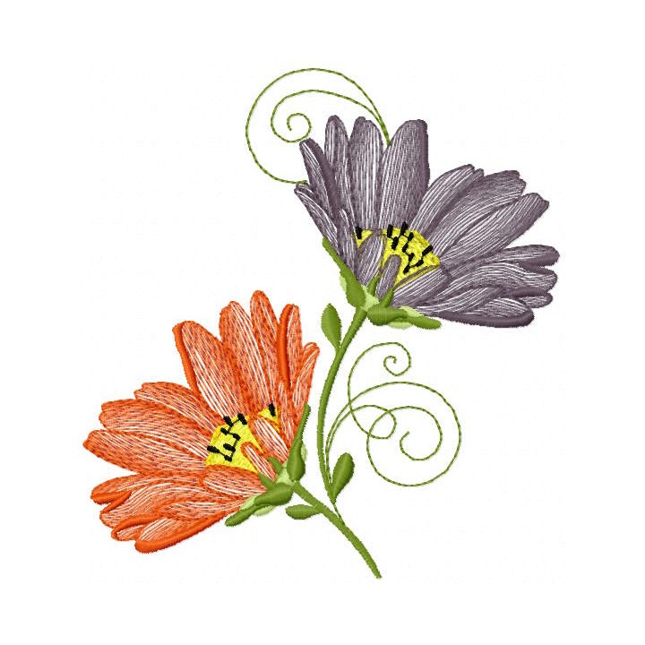 Two Asters flowers embroidery design - Embroidery Design