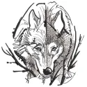 Wolf time pencil sketch embroidery design showcasing a detailed wolf motif for creative stitching projects.