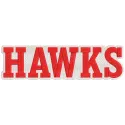 Atlanta Hawks logo embroidery design preview for stitching on apparel and accessories.