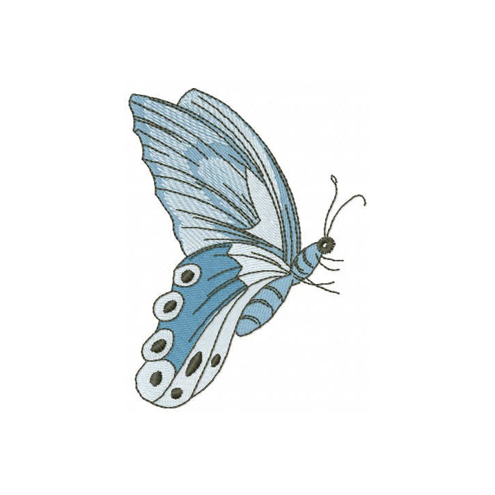 Blue butterfly embroidery design - Embroidery Design