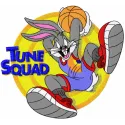 Tune Squad embroidery design featuring iconic characters from Looney Tunes, perfect for t-shirts and hoodies.