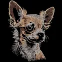 Chihuahua embroidery design on a black background, showcasing intricate stitching patterns for dog lovers.