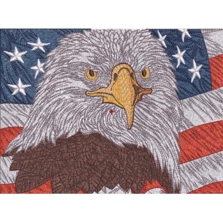 Eagle and American flag embroidery design - Embroidery Design