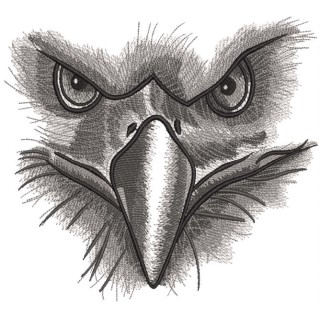 Eagle gaze embroidery design - Embroidery Design