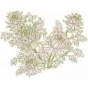 Peonies flowers embroidery design showcasing vibrant floral motifs, ideal for stitching on various fabric items.